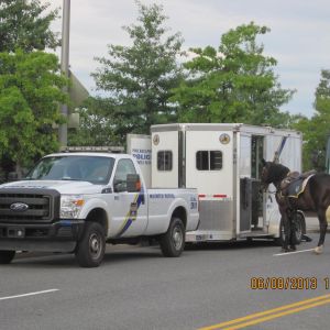 10931709 1561897674054392 o